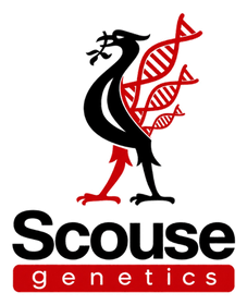 Scouse Genetics